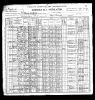 1900 Census - Marcellus Webster household