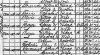 1920 Census - Boyer
